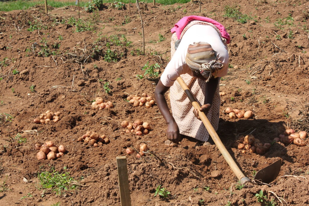 Tracking soil health managers in Uganda