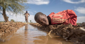 Improving resource targeting in Niger: Joint financial analysis and food system mapping