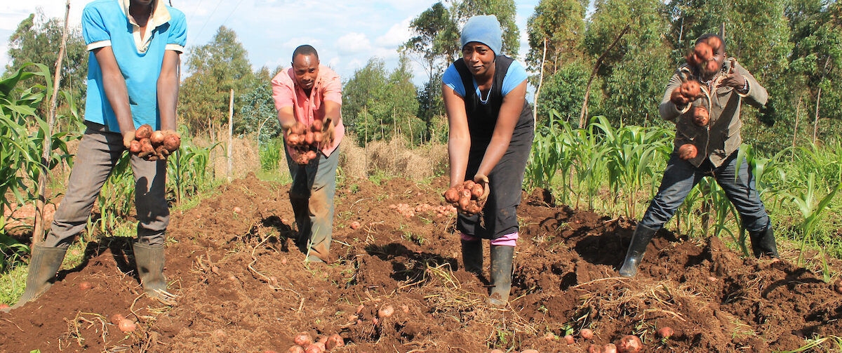 Effectiveness of aflatoxin biocontrol: Evidence from Kenyan smallholders under varied levels of technical support