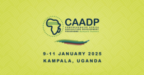 Extraordinary Summit on Comprehensive Africa Agriculture Development Programmes (CAADP)