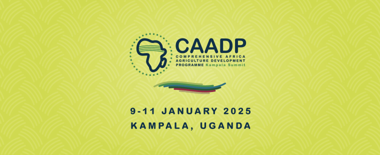 Extraordinary Summit on Comprehensive Africa Agriculture Development Programmes (CAADP)