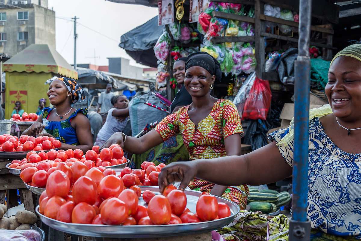 Transform Nutrition West Africa builds knowledge for decision-makers