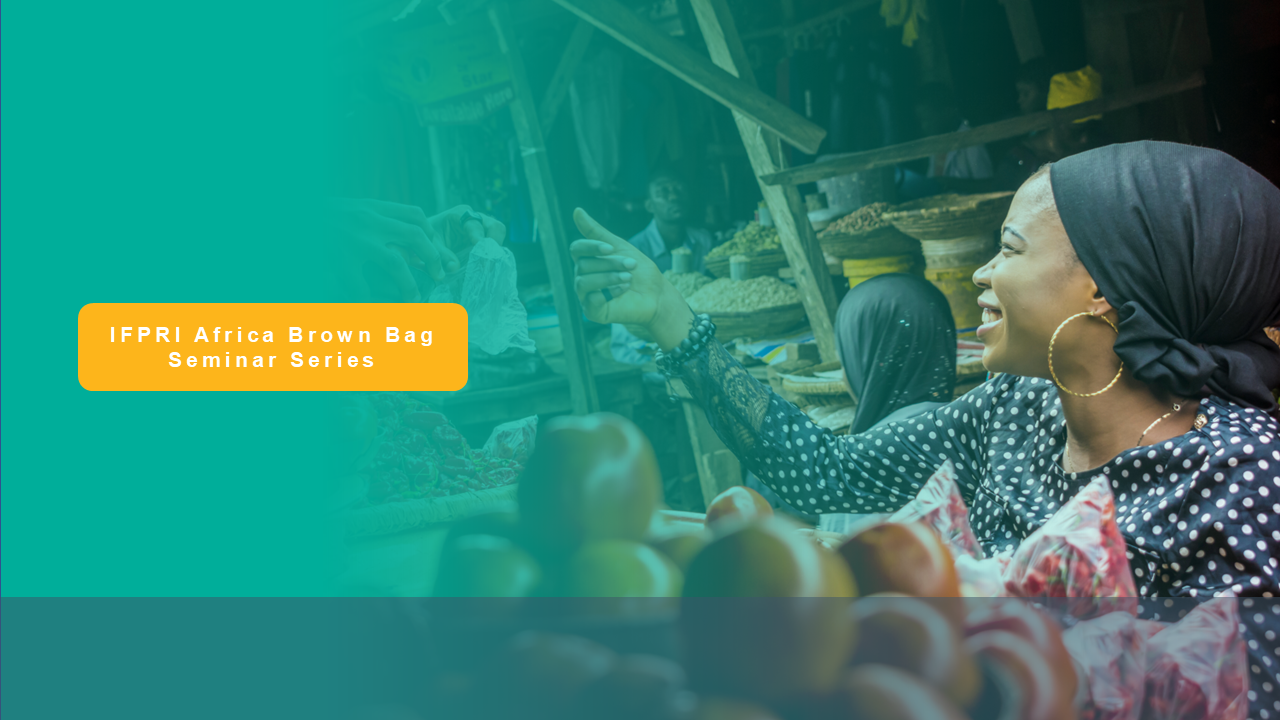 SEMINAR: Government Credibility and Agricultural Financing Under the CAADP Framework