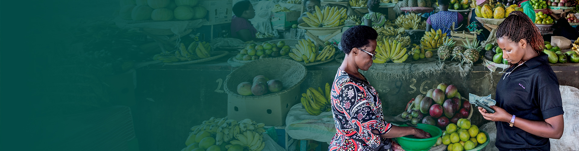 Lancement de la stratégie de participation de l’IFPRI À LA CAADP 2026 – 2035 