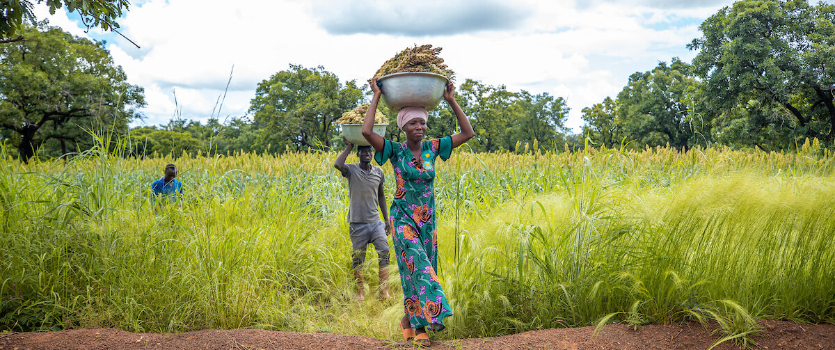 Applying the Women’s Empowerment Metric in National Statistical Systems (WEMNS) to build gender equity