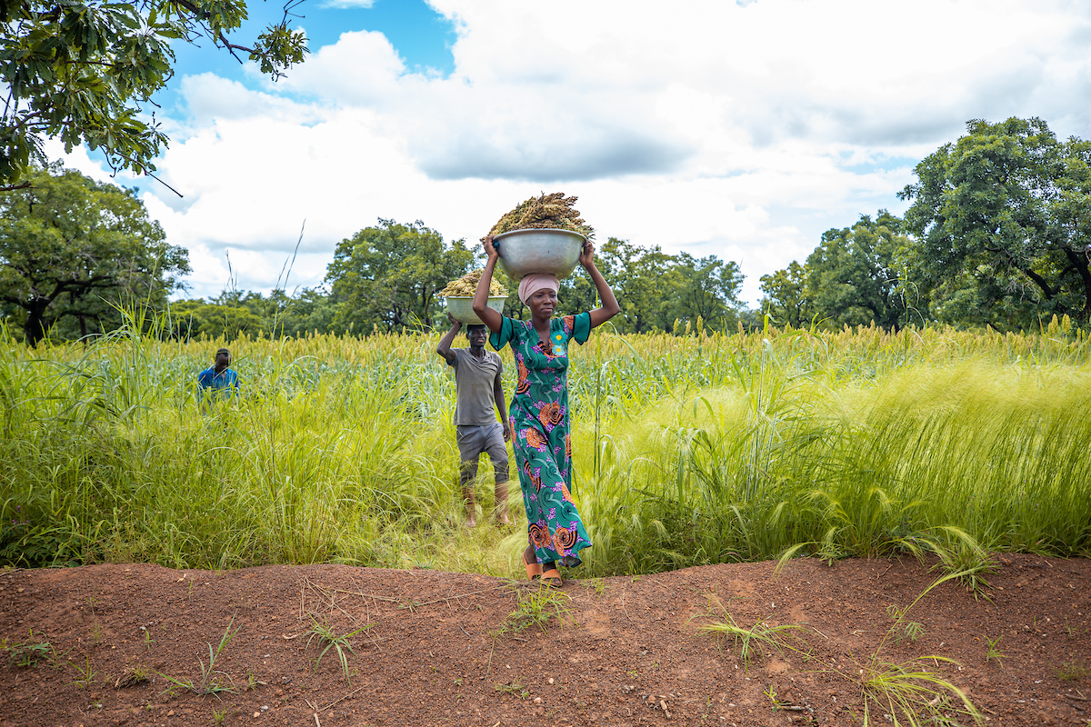 Applying the Women’s Empowerment Metric in National Statistical Systems (WEMNS) to build gender equity
