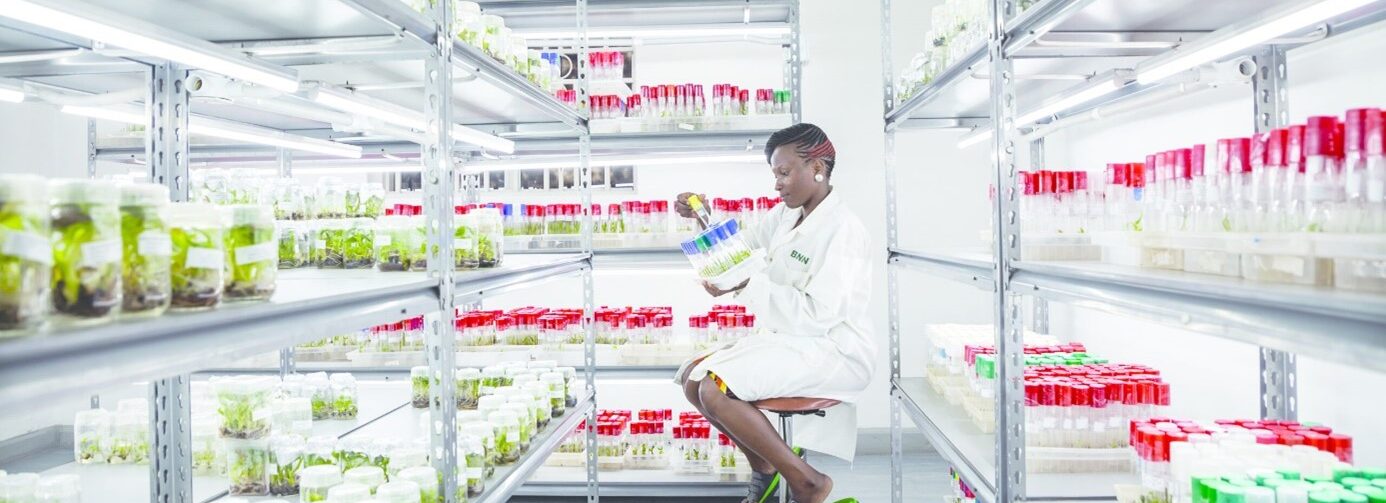 Agrifood science in transition: Building a sustainable architecture in the face of declining development aid