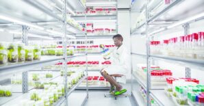 Agrifood science in transition: Building a sustainable architecture in the face of declining development aid