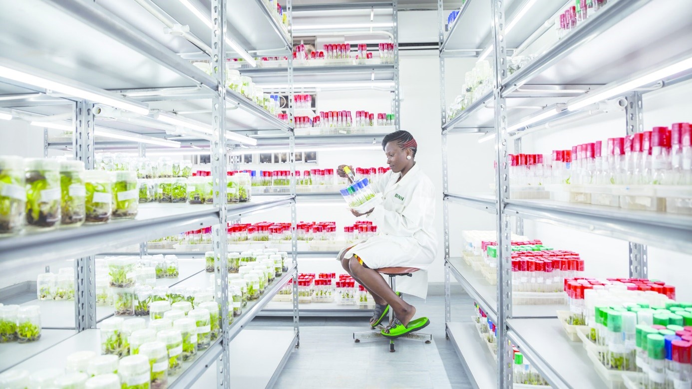 Agrifood science in transition: Building a sustainable architecture in the face of declining development aid