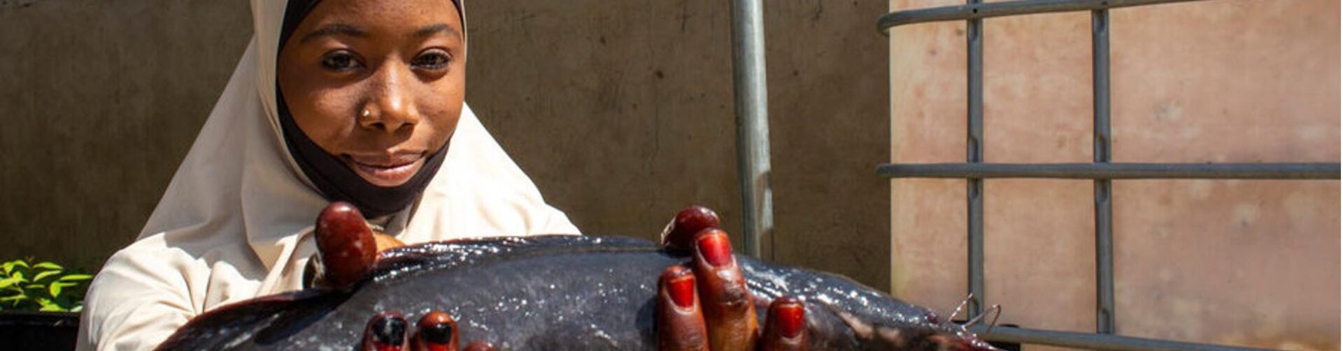Northern Nigeria’s hunger crisis: Transforming food aid to rebuild food systems