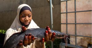 Northern Nigeria’s hunger crisis: Transforming food aid to rebuild food systems