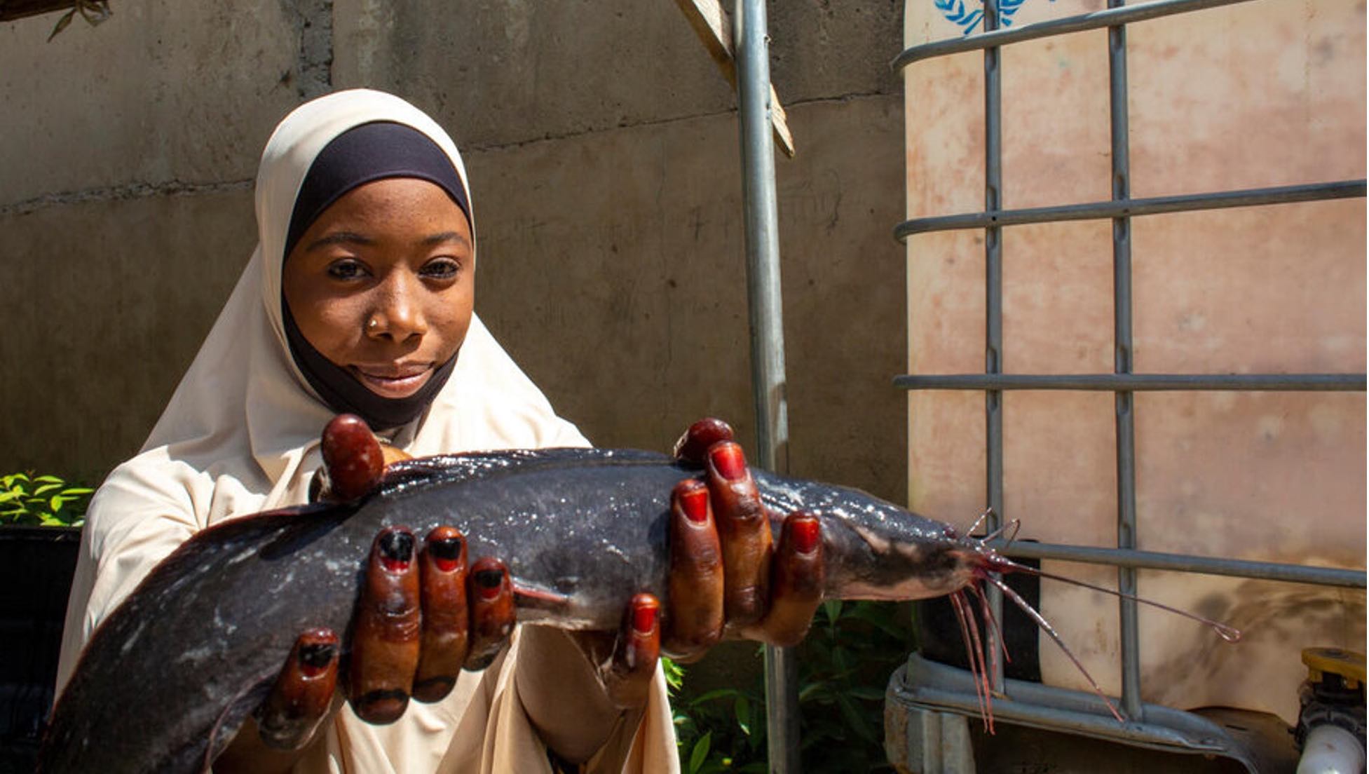 Northern Nigeria’s hunger crisis: Transforming food aid to rebuild food systems