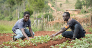 Africa’s youth and the future of food: IFPRI’s Key takeaways from AFS Forum 2025
