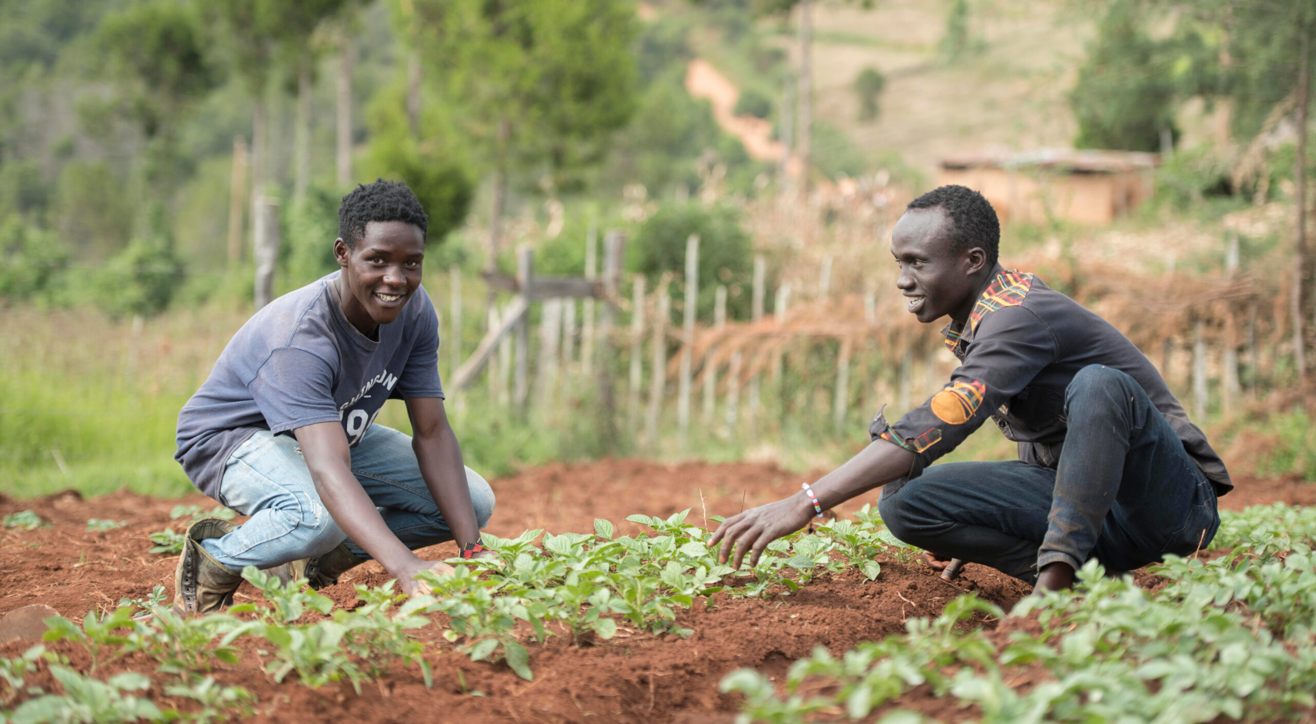 Africa’s youth and the future of food: IFPRI’s Key takeaways from AFS Forum 2025