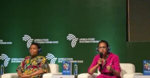 IFPRI 2025 Global Food Policy Report Africa launch: Charting a course for agrifood system transformation