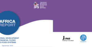 Africa Report Summary – External Development Financial Flows to Food Systems