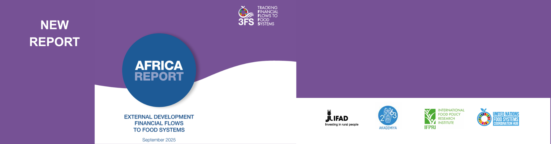 Africa Report Summary – External Development Financial Flows to Food Systems