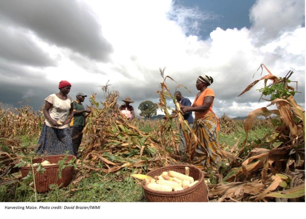 Powering Kenya’s Agri-Food Transformation through Science and Partnership
