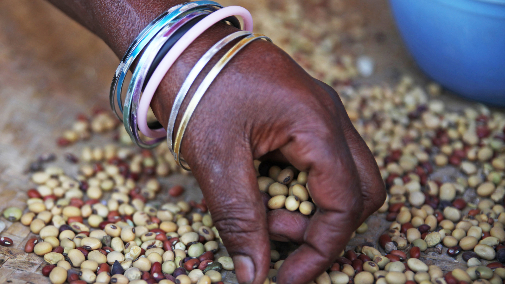 Growing Resilience: New Evidence and Lessons from Nigeria