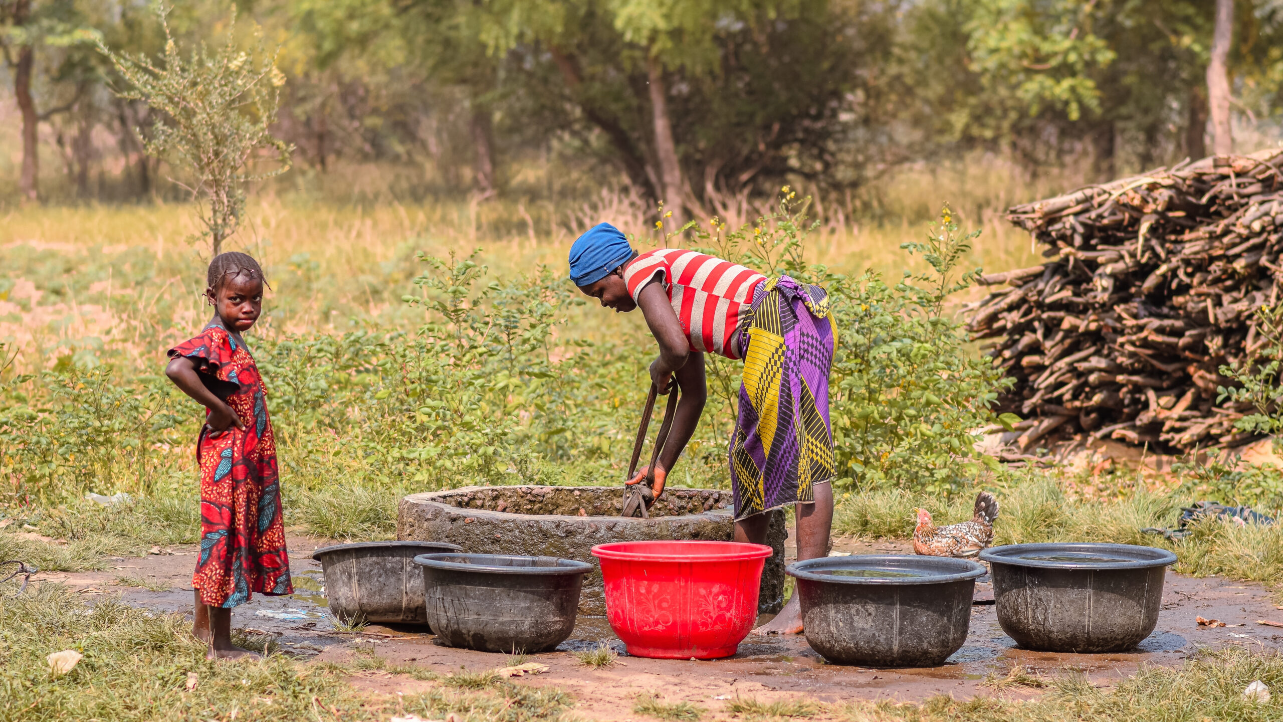 When climate shocks reduce harvests, children pay the price: Evidence from Nigeria